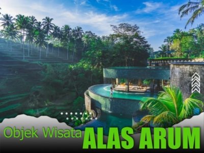 Alas Arum